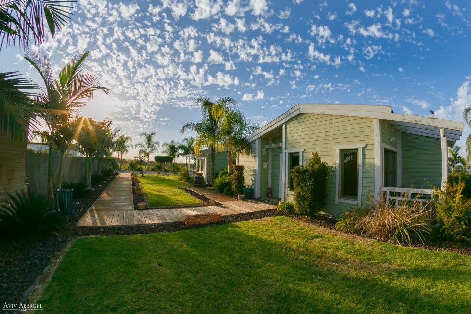 11139785_877210785658116_3841010129064123192_n